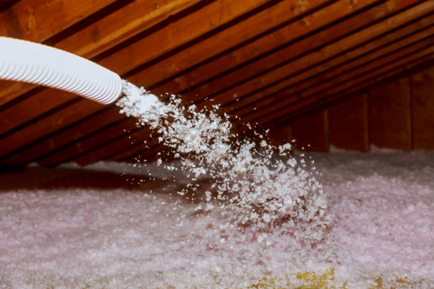Best Insulation Replacement Services  in Bath, PA