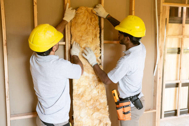 Best Professional Insulation Contractor  in Bath, PA