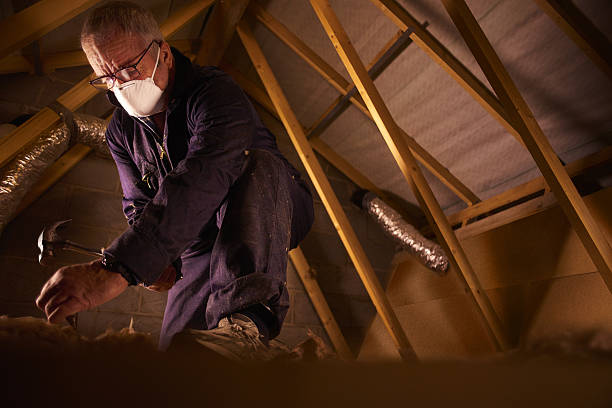 Best Insulation for New Construction  in Bath, PA